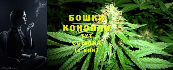 спиды Елизово