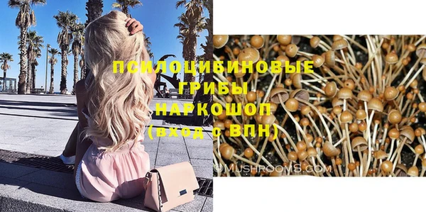 не бодяженный Ельня